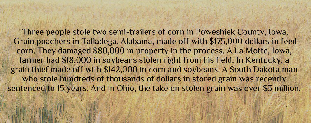 prevent-stored-grain-theft